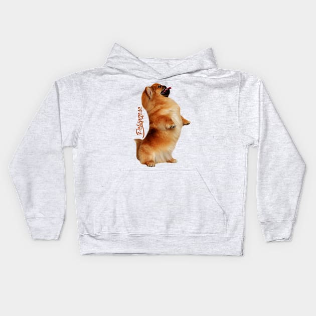 Pekingese dog Kids Hoodie by Nartissima